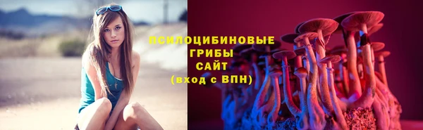 метадон Арсеньев