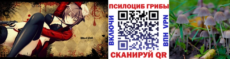 Купить закладки  Лихославль  Галлюциногенные грибы прущие грибы 